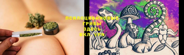 соль ск Балахна