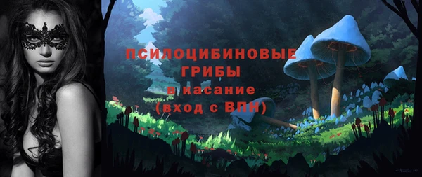 Альфа ПВП Баксан